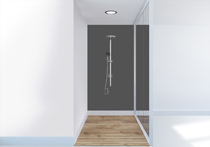 Douche niche